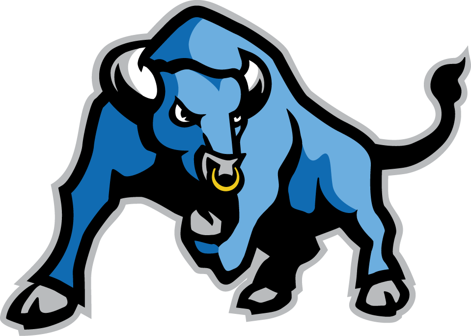 Buffalo Bulls 2007-Pres Alternate Logo diy DTF decal sticker